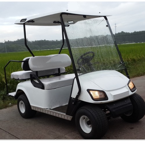 2 + 2 custom golf cart murah untuk dijual