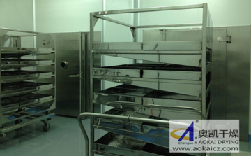 Ctde-CF Series Split Type Convection Clean Drying Oven