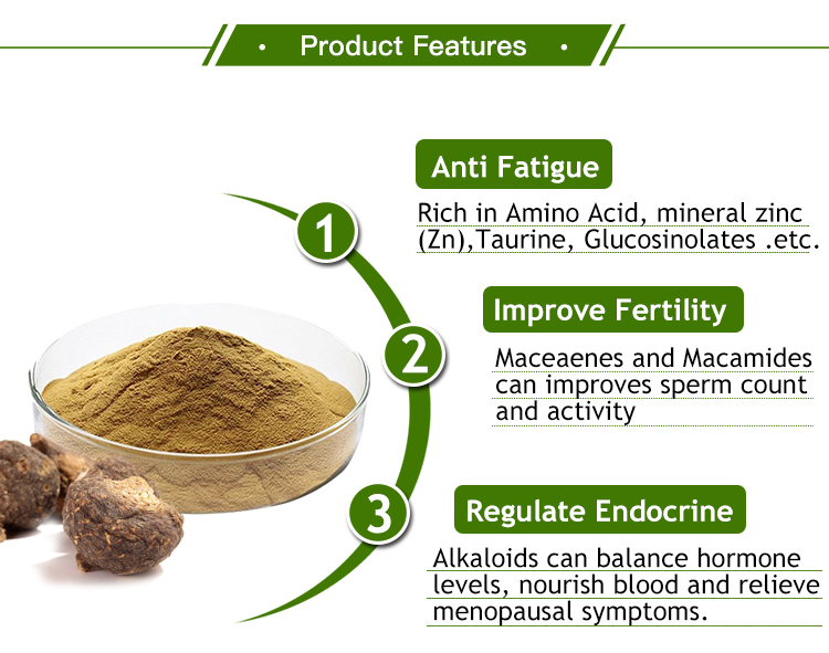 maca root extract feature