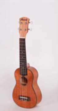 21`` ukulele2015 QST