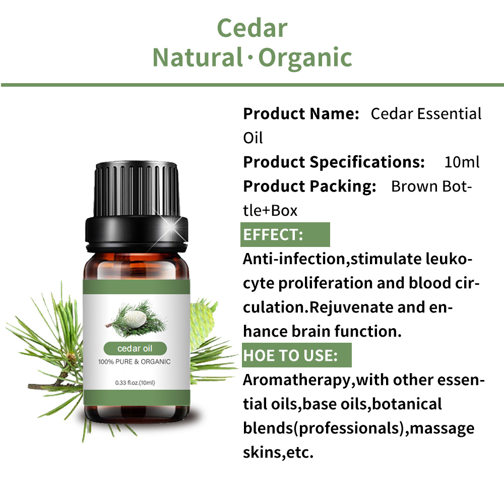 Bulk vendendo Atlas Cedar Essential Oil