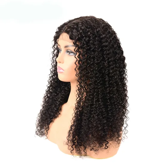 Huashuo Free Shipping 4*4 Human Lace Closure Wig Brazilian Virgin Human Hair Lace Wigs With Baby Hair Jerry Curl