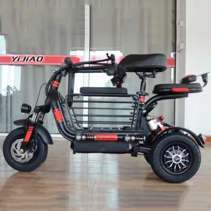 EEC/COC Certified Electric Handicapped Tricycles: 500W Double Seat 3-Wheel Adult Electric Scooters