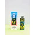 Hotsale USA Vape R &amp; M Paradise 8000 Puffs