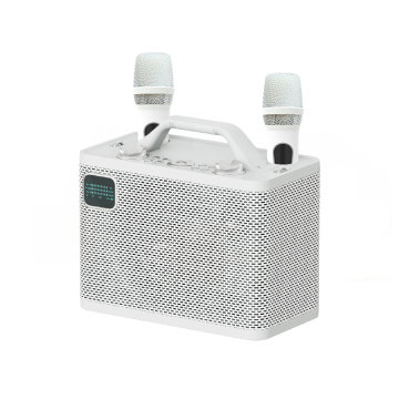 Portable Bluetooth Karaoke Speaker with Waterproof IPX7, 10W, and Microphone
