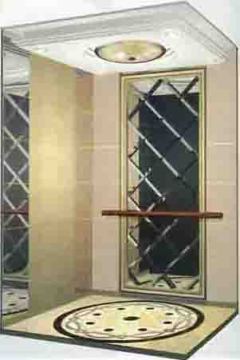 Luxury Villa Elevator (TZJ-450-JXW)