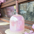 /msite/products/detail/productid/63437480/id/1520040.html