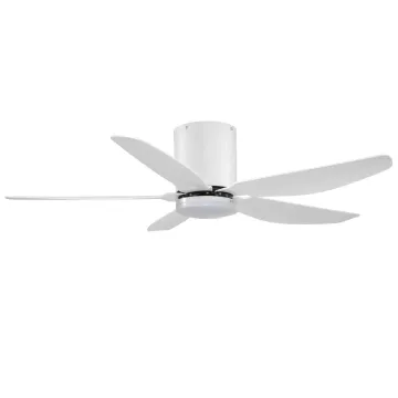 Low profile ceiling fan indoor use