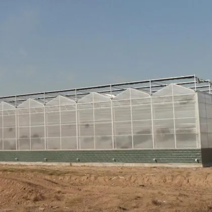 Multi-span PC Board Plastic Greenhouse