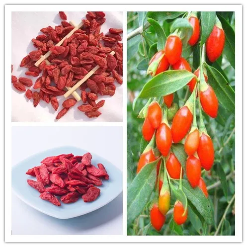 Other Dried Goji Berry