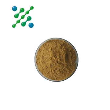 Organic Baicalin Extract Powder