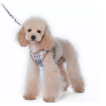 Puppy Walking Running Dog Harness