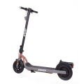 Pinakabagong disenyo 350W Electric Scooter 10 Inch