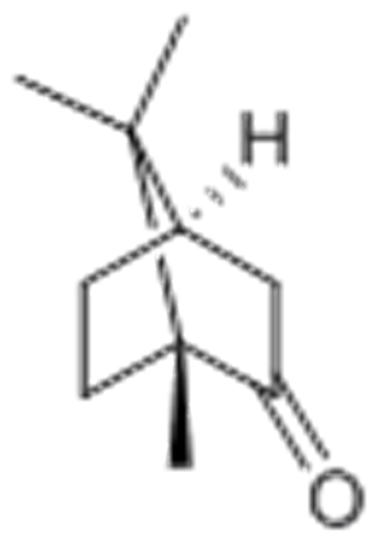 Camphor CAS 76-22-2