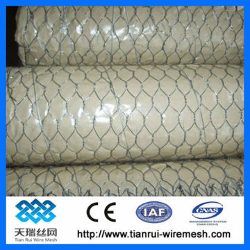 Hot-dipped galvanized chicken wire/hexagonal mesh (factory)