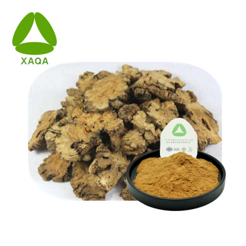 Dong Quai Angelica Sinensis Root Extract 10:1 Powder