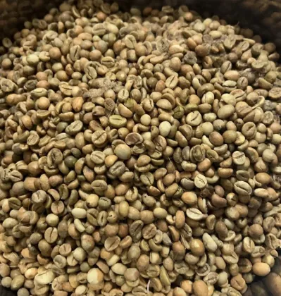 Hali Robusta Green Beans