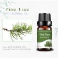 Private Label Pine Tree Essential Oil Aroma Skin Hair Cares