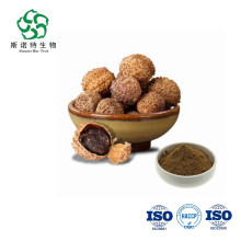 Plant Extract Fructus Amomi Amomum Villosum Extract