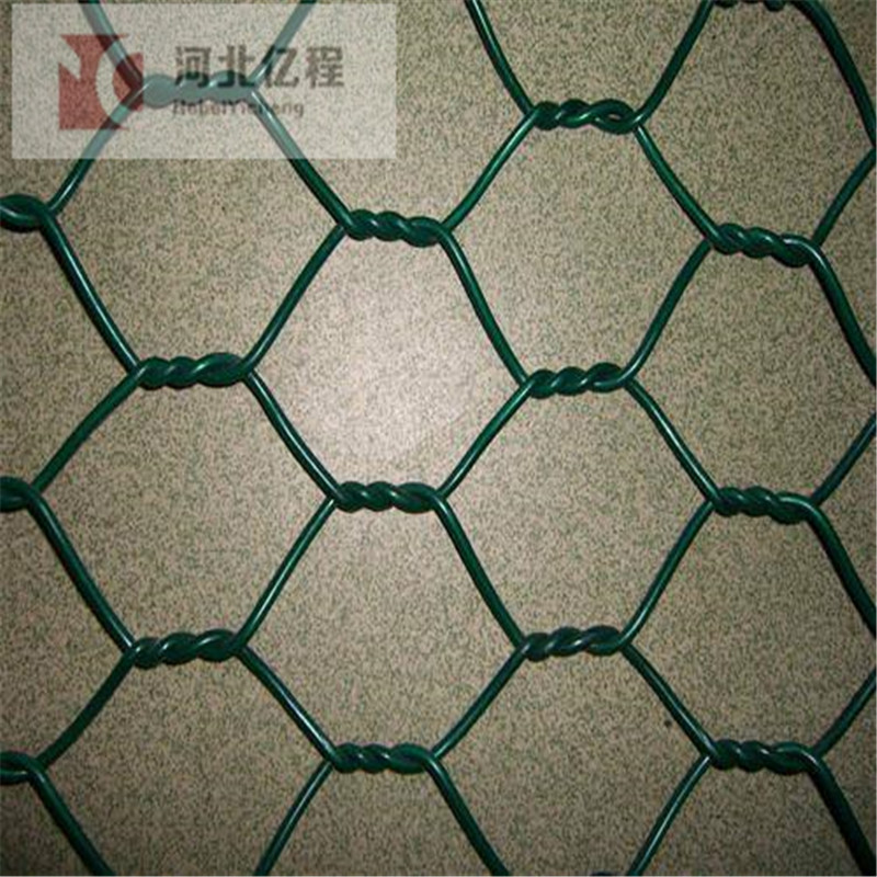 hexagonal mesh