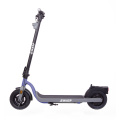 Bagong Disenyo 10inch 350W Electric Scooter