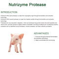 Protease for improving protein digestion of animals