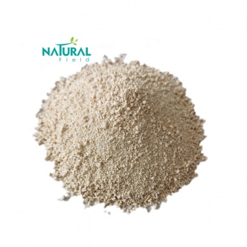 Polygonum Cuspidatum Root Extract Resveratrol Granule