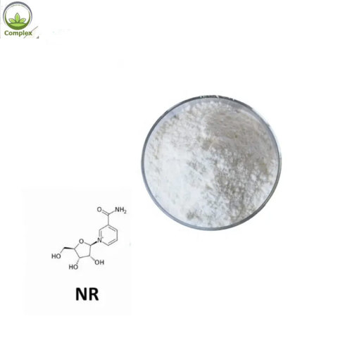 Serbuk Kemurnian Tinggi Beta Nicotinamide Mononucleotide / NMN