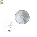 Polvere di elevata purezza Beta Nicotinamide Mononucleotide /NMN