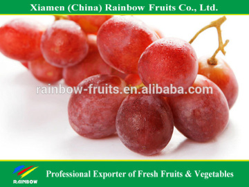 export delicious sweet fresh red globe grape red grape fresh grape