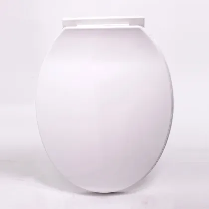 Egg shaped siphon one piece toilet cover