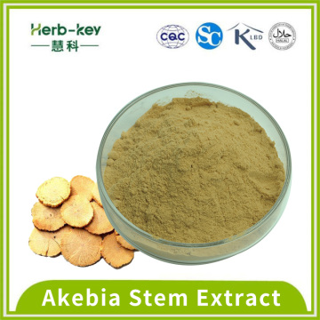 Saponinas Triterpenóides 10: 1 Akebia STEM Extract