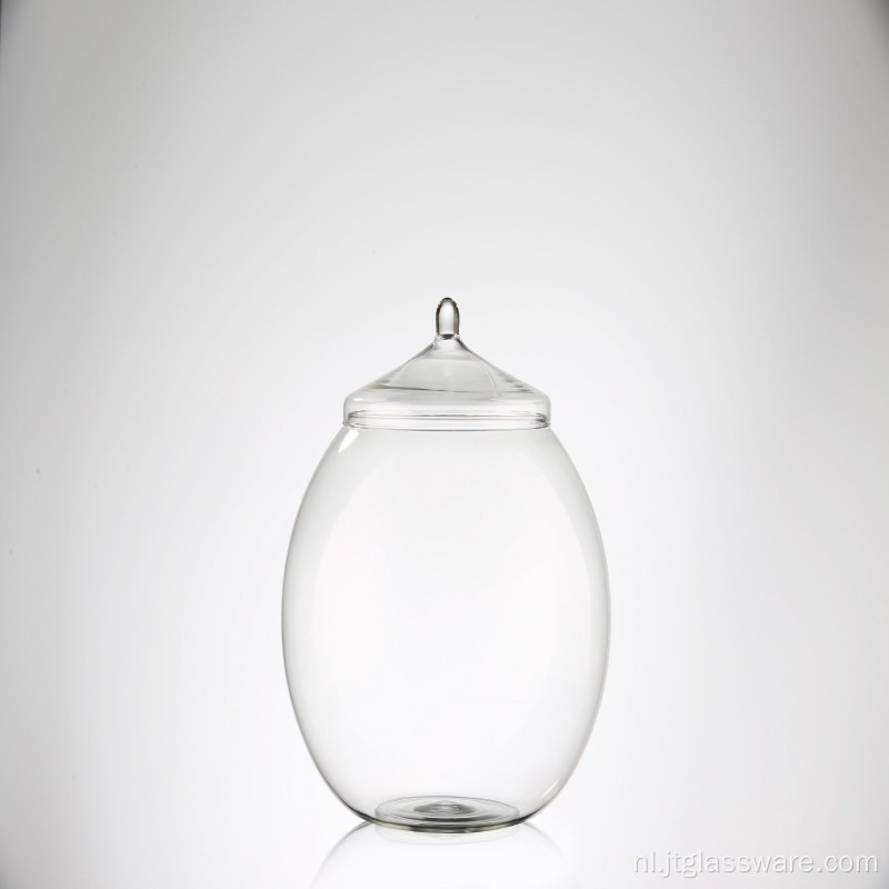 Tafelblad Plantaardig Glas Terrarium