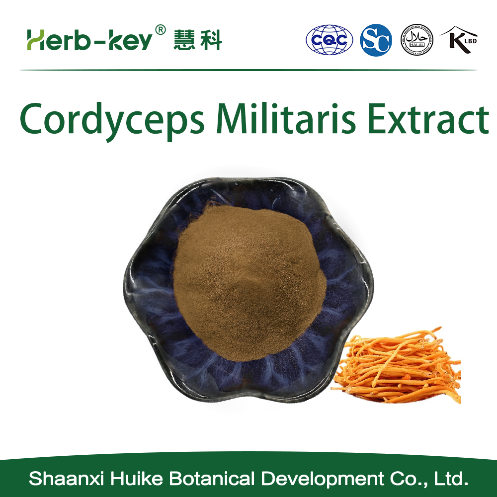 30% Cordyceps Militaris Fruchtkörperextrakt Polysaccharid