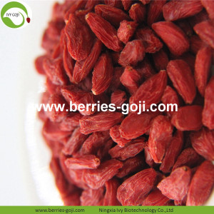 Factory Bulk Natural For Sale Wolfberries