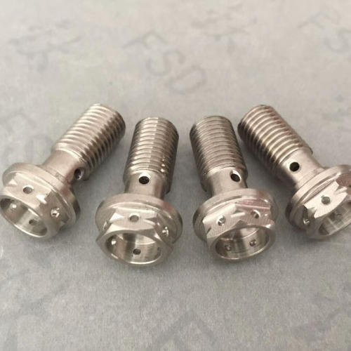 Standard pure titanium screw