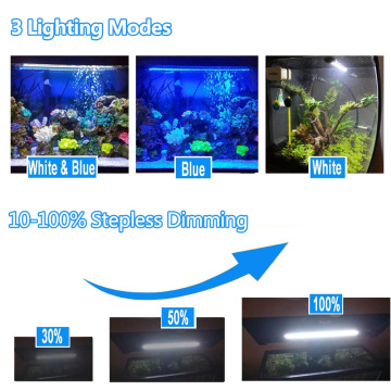 Luci dell&#39;acquario a led subacquee con timer