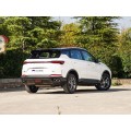 Geely Coolray Binyue汽油车