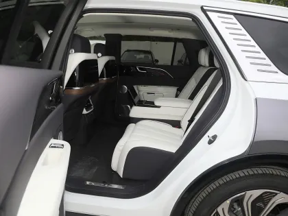 Top New Energy Vehicles Hongqi E-HS9 Electric
