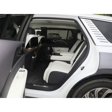 Top New Energy Vehicles Hongqi E-HS9