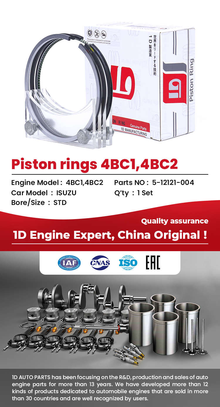 Engine Parts Piston Ring