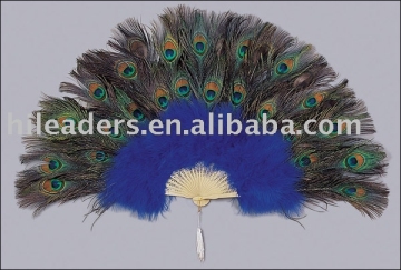 Peacock Fan