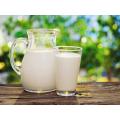 Isomalto-oligosacárido funcional prebiótico del polvo de la OMI del maíz del edulcorante 90 usado para el yogur