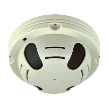 Analog CCD Smoke Detect Mini Camera (AST-231CS)