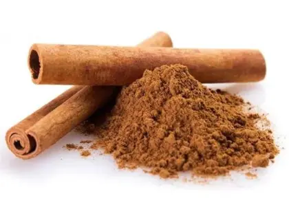 Organic Ceylon Cinnamon Extract Powder Cinnamon Polyphenols