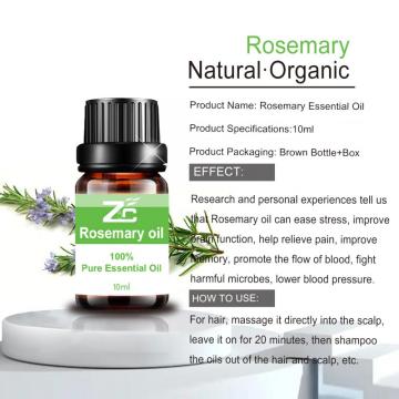 High Quality 100% pure natural Rosemary essential oil