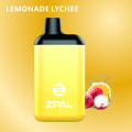 Disposable lemon and lychee electronic cigarettes