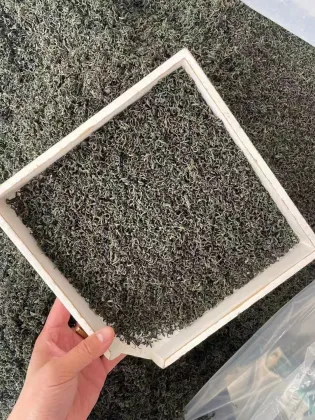 OEM Private Label Health Dried Green Tea Leaves Maojian Longjing Herb Flavored Tea Bags