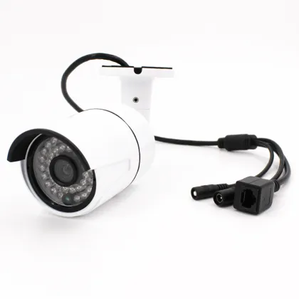 Best selling 4mp poe IP66 ip capture ir bullet camera