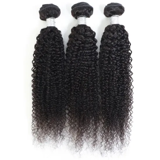 MYZYR Malaysian Curly Hair Weave Bundles Remy Human Hair Weaving Natural Color High Ratio 8-30inch human hair toupee